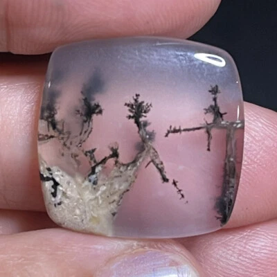 21.3ct 21x21x5.8mm Picture Like Dendrite Agate Smooth Cabochon Collector’s Stone - Image 1 of 4