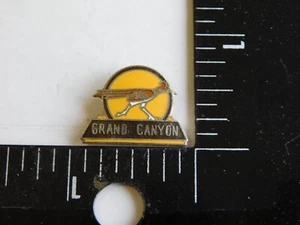 GRAND CANYON NATIONAL PARK ROADRUNNER TRAVEL PIN - Picture 1 of 2