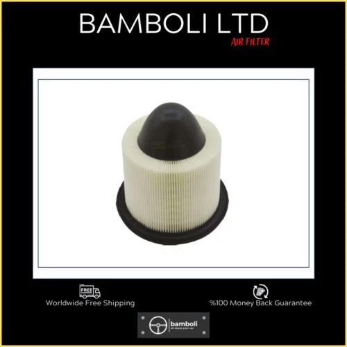 Filtro de aire Bamboli para Mgx-Power 4,6-5,0 Mg Zt 1,8 T PHE000100 Foto 1 de 1