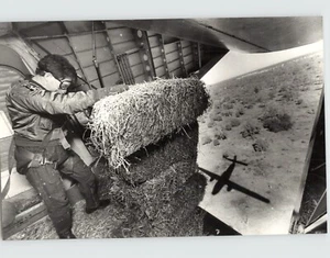 RAAF Caribou Aircraft deja caer forraje para ovejas hambrientas Australia 1982 foto de prensa - Imagen 1 de 2