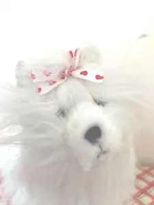 GANZ Webkinz Cares White & Pink Yorkie Dog HS070 NO Code Plush Lil' Kinz - Picture 1 of 5