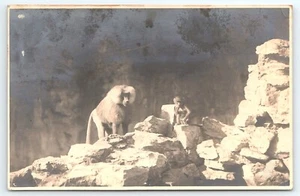 Postal RPPC Babuinos en Cornisa Rocosa Madre y Bebé - Imagen 1 de 2