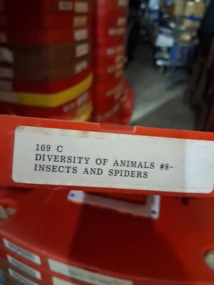 16mm educational film: DIVERSITY OF ANIMALS #8-INSECTS AND SPIDERS - Image 1 of 2