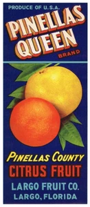 FLORIDA 4005- Vintage Pinellas Queen Florida Fruit Label print - Picture 1 of 4