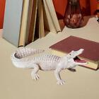 Alligator-Modell, Lernspielzeug, Skulptur für Schlafzimmer, Bücherregal,