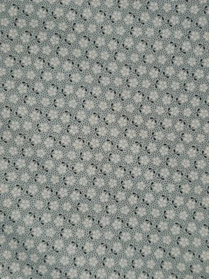 Хлопковый принт Tilda Meadow Basics бирюзовый по ярду X 43 дюйма - Изображение 1 из 3