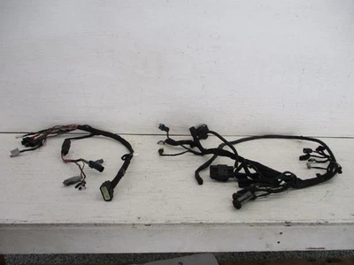 20 Harley Davidson FXST Softail Standard Main Wiring Harness 69201493 2020 - Image 1 of 4