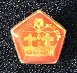 Old SCOUTS OF NEW ZEALAND - NZ QUEEN'S SCOUT'S HIGHEST RANK TOP METAL AWARD  - Picture 1 of 3