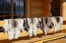Reindeer Rug Decorative hide of Scandinavian Reindeer Size XXL