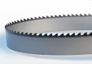 Lame per seghe a nastro su misura per ALIMENTI da 20 mm - Picture 1 of 4