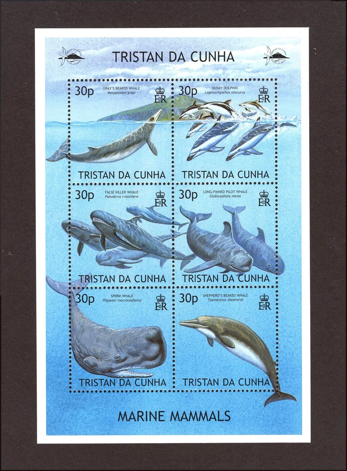 M28676 Tristan  Da Cunha 2002 Marine Mammals m/s UMM Sg 752/7 Cat £21 - Изображение 1 из 1