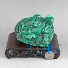Natural Malachite Stone Frog Statue Gemstone Carving Sculpture Crystal Art
