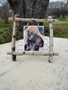birch picture frames/ Adirondack frames - Picture 1 of 4