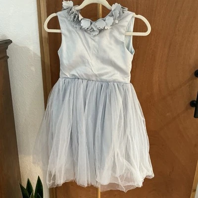Vestido Trish Scully Niñas Talla 8 Vestido Formal Plata Gris Tul Pétalos Fiesta Elegante Foto 1 de 4