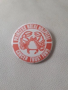 Insignia vintage de Princess Royal Hospital - Imagen 1 de 3