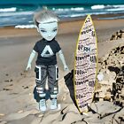 Ash Silverstone Shadow High Articulated Doll Gray Boy Rainbow W/Surfboard