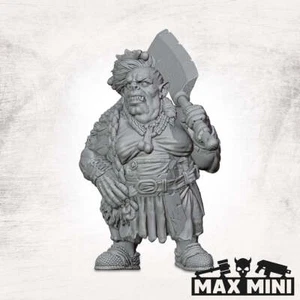Max Mini BNIB Ogre Butcher - Picture 1 of 2