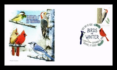 SELLOS DR JIM PORTADA PÁJAROS EN INVIERNO FDC PANDA CACHET PICTÓRICO CANCELAR Foto 1 de 2