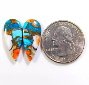 100% Natural Kingman Spiny Oyster Turquoise Pair Pear Cabochon Gemstone BU=307 - Imagen 1 de 4