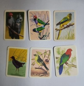 Australiana bird studies cards 6 off - nos - 27,37,72,101,276,342 - lot 620 - Picture 1 of 2