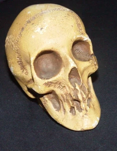 Vintage Walt Disney World Randotti Souvenir Totenkopf leuchtet im Dunkeln gebraucht - Bild 1 von 9