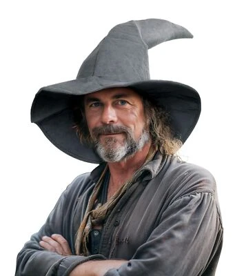 Adult Gray Wizard Hat Halloween Witch Large Sorcerer Hobbit Costume Hats Acce... - Image 1 of 4