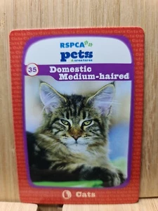 RSPCA Pets 🏆 #35 DOMESTIC MEDIUM-HAIRED Trading Card 🏆FREE POST - Picture 1 of 2