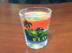 vintage circa 1970s souvenir of Florida shot glass -excellent preowned condition - Picture 1 of 6