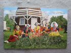 Vintage Lovely Flowers, Tulip Time, Pella, Iowa Postcard