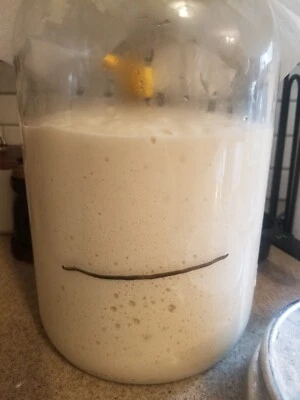 Tarro de vidrio activo para iniciar masa madre LÍQUIDO, HARINA ORGÁNICA - ¡Fuerte y burbujeante! 50 años Foto 1 de 4