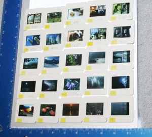 25 diapositive tipo qualità rivista vintage da fotografo professionista collezione - Foto 1 di 5