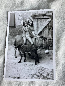 Adorable pictures of two girls on a donkey mule vintage photograph - Picture 1 of 4