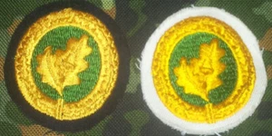 2 Einzelkämpferabzeichen gold Bundeswehr Marine für die weisse + blaue Uniform - Bild 1 von 1