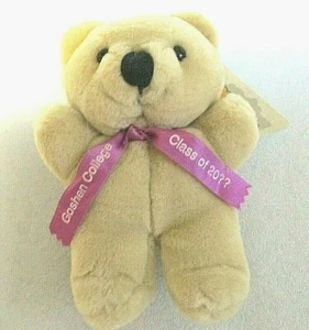 Dakin "GOSHEN COLLEGE CLASS OF 20??" Teddy Bear Plush Stuffed Animal 8" 1983 VTG - Bild 1 von 9