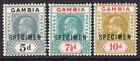 GAMBIA 1904-06 KEVII DEFINITIVE 5D, 7½D & 10D OPT SPECIMEN FRESH MOUNTED MINT