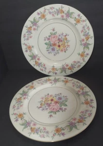 Theodor Haviland Springtime  (New York) Dinner Plate 10 1/2" set of 2 - Picture 1 of 9