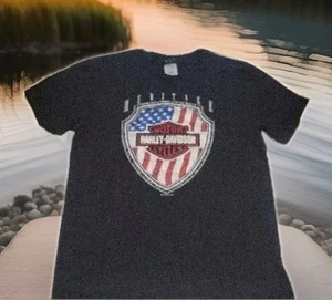 DOUBLE SIDED Harley Davidson Illinois Heritage Patriotic Chicago T-Shirt Medium - Picture 1 of 15