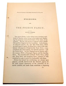 Antique "Pigeons and the Pigeon Fancy" by Wm. G. Barton ca 1880 - Picture 1 of 5