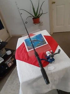 Spinning Fishing Rod Quantum 5'6" Light 2-8LB AND REEL SHAKESPEARE - Picture 1 of 16