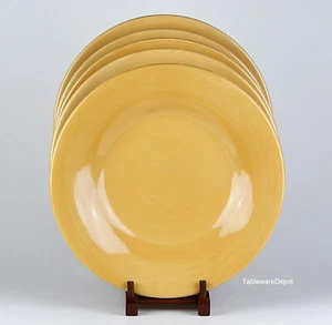 Pottery Barn SAUSALITO AMBER: Set of 2 Dinner Plates, SUPERB Condition! - Picture 1 of 3