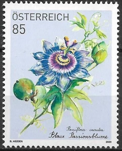 2020 Österreich Mi. 3510 **MNH Blaue Passionsblume (Passiflora caerulea) - Bild 1 von 1