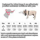 Blind Dog Halo Collar Pet Anti-Collision Collar for Vision Impaired Dogs Cats