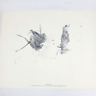 Andrew Wyeth "Storing Up" Beehive Print 1962 Four Seasons Portfolio 17x13