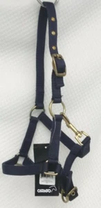 Catago Halfter Nylonhalfter blau+Gold Beschläge 2fach verst. Pony-Fohlen -Fohlen - Bild 1 von 24