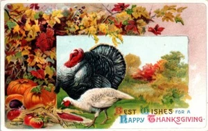 R. Veentliet Thanksgiving Postcard Turkey Pumpkins Fall Leaves 1910s Germany - Picture 1 of 2