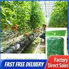 Garden Netting Rope Plants Climbing Melon Fruit Support Grow Net Ropes Fence