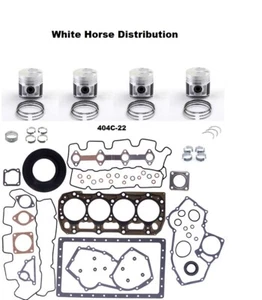Kit revisione motore STD adatto per motore FG WILSON P14E2S/Perkins 404C22 - Foto 1 di 6