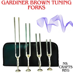 Professional Gardiner Brown Tuning Fork Set 128Hz–1024Hz for Healing & Clinical - Picture 1 of 5