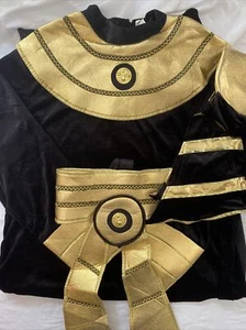 Forum Novelties Costume Pharaoh Egyptian Adult L - Picture 1 of 11