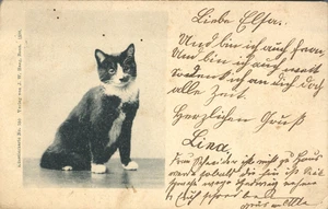 Tuxedo Cat cartucho de artista No. 150 1899 sello postal de Baviera - Imagen 1 de 2